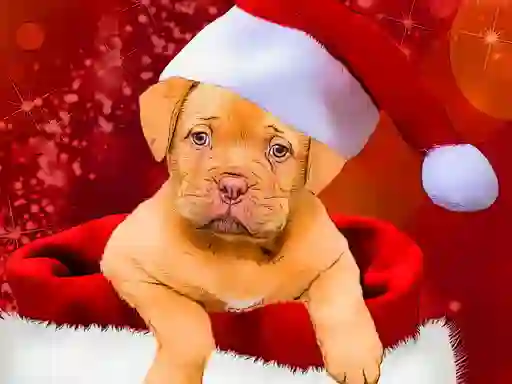 Leikur Christmas Dogs Styles á netinu