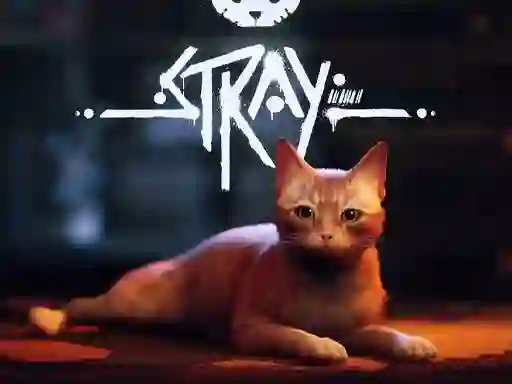 Leikur Stray á netinu