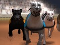 Leikur Greyhound kappreiðar á netinu