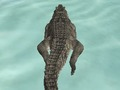 Leikur Crocodile Simulator Beach Hunt á netinu