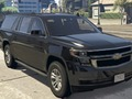 Leikur Chevrolet Suburban Mismunur  á netinu