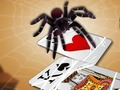 Leikur Spider Spider  á netinu
