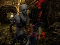 Leikur Zombie vs berserk 2 á netinu