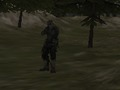 Leikur FPS umboðsskrifstofa: Skógur á netinu