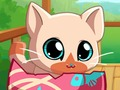 Leikur Pocket Gæludýr Kitty Cat mín  á netinu