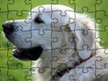 Leikur Jigsaw Puzzle Temdýr  á netinu