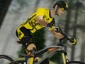 Leikur MTB Pro Racer á netinu