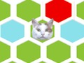 Leikur Trap Cat  á netinu