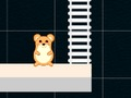 Leikur Smart Hamster Time  á netinu
