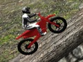 Leikur Rannsóknir á Forest Bike 2019  á netinu