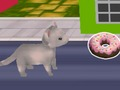 Leikur Cat Candy Run á netinu