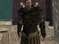 Leikur Parthian stríðsmaður á netinu