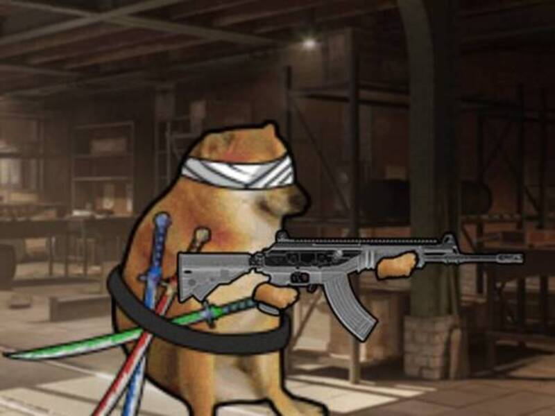 Leikur Battle Royale frá Doge á netinu