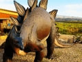 Leikur Stegosaurus risaeðluspil  á netinu