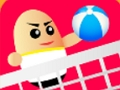 Leikur Volley Challenge á netinu