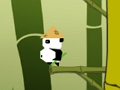 Leikur Panda stökk á netinu