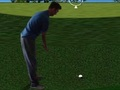 Leikur Flash Golf 3d  á netinu