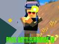 Leikur Pixel Battlegrounds. IO  á netinu