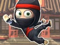 Leikur Super Ninja ævintýri  á netinu