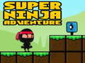 Leikur Ofurævintýri Ninja  á netinu