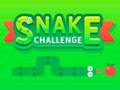 Leikur Snake Challenge á netinu