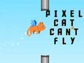 Leikur Pixel köttur getur ekki flogið  á netinu