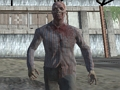 Leikur Dark Forest Zombie Survival FPS á netinu