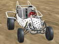 Leikur Crazy Buggy Demolition Derby á netinu