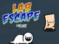 Leikur Lab Escape á netinu  á netinu