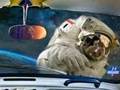 Leikur Space Finndu muninn  á netinu