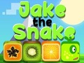 Leikur Jake The Snake á netinu