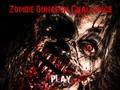 Leikur Zombie Dungeon Challenge á netinu