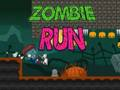 Leikur Zombie Run á netinu