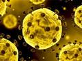 Leikur Coronavirus glæra  á netinu