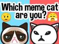 Leikur Hvaða Meme Cat ert þú?  á netinu