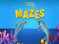 Leikur Nat Geo Kids Mazes á netinu