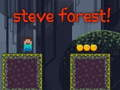 Leikur Steve Forest á netinu