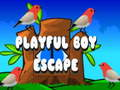 Leikur Fjörugur Boy Escape  á netinu