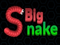 Leikur Stóri Snake. io  á netinu