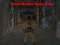 Leikur Tomb Raider Open Lara á netinu