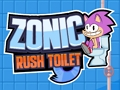 Leikur Sonic Rush klósett  á netinu