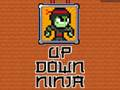 Leikur Upp Niður Ninja  á netinu
