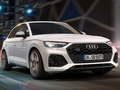 Leikur Audi SQ5 TDI rennibraut á netinu