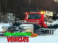 Leikur Snow Groomer farartæki  á netinu