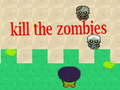 Leikur Drepa Zombies  á netinu