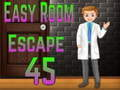 Leikur Amgel Easy Room Escape 45 á netinu