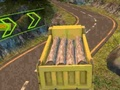 Leikur Euro Truck Drive á netinu