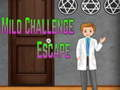 Leikur Amgel Mild Challenge Escape á netinu