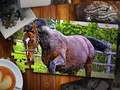 Leikur Jigsaw Puzzle Horses Edition á netinu