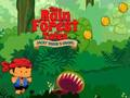 Leikur Rainforest sögur á netinu